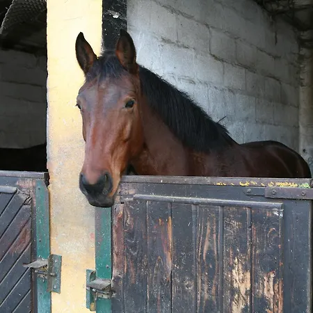 Hostellerie Herock Zajazd 3*