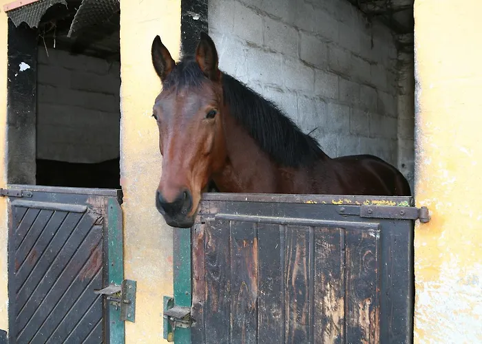 Hostellerie Herock אורחן 3*