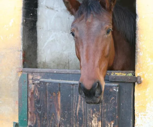 אורחן Hostellerie Herock Herock